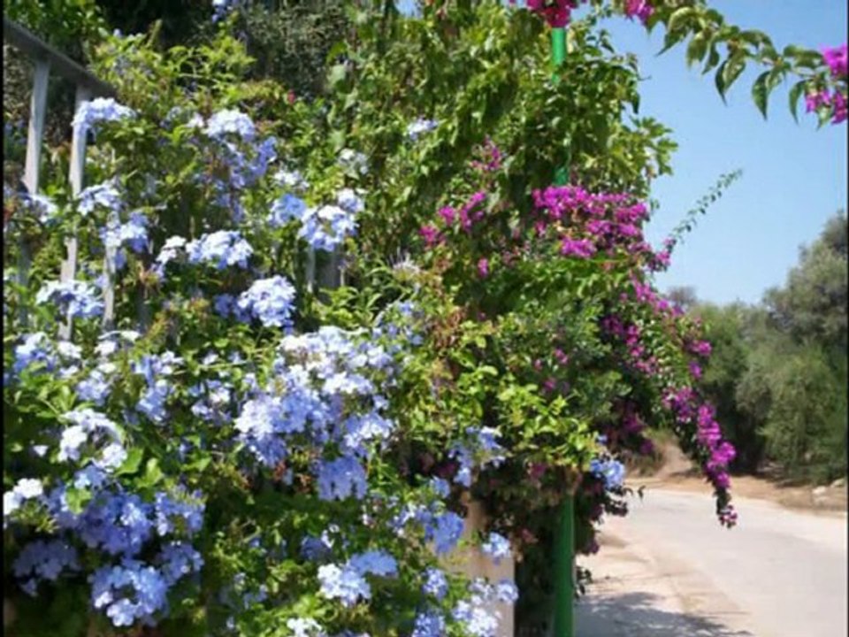 Bella Sardenia