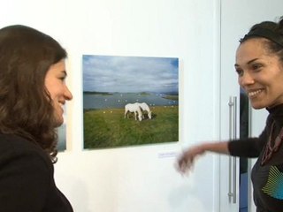 Inishturkbeg 'Life Vividly Lived' art exhibition