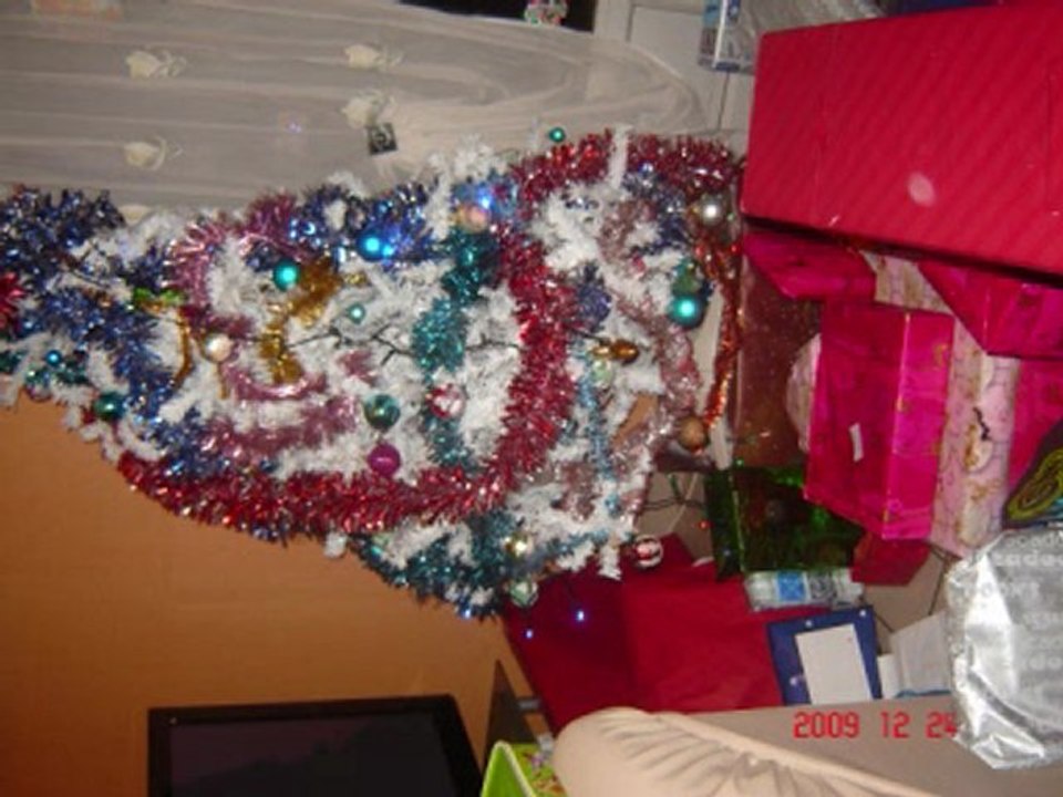 noel 2009