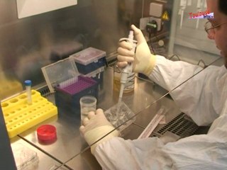 Le cytomégalovirus (CMV) durant la grossesse