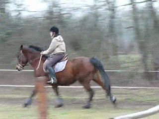 detente obst apo et cassandre