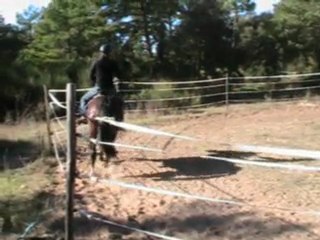 Pure race espagnole