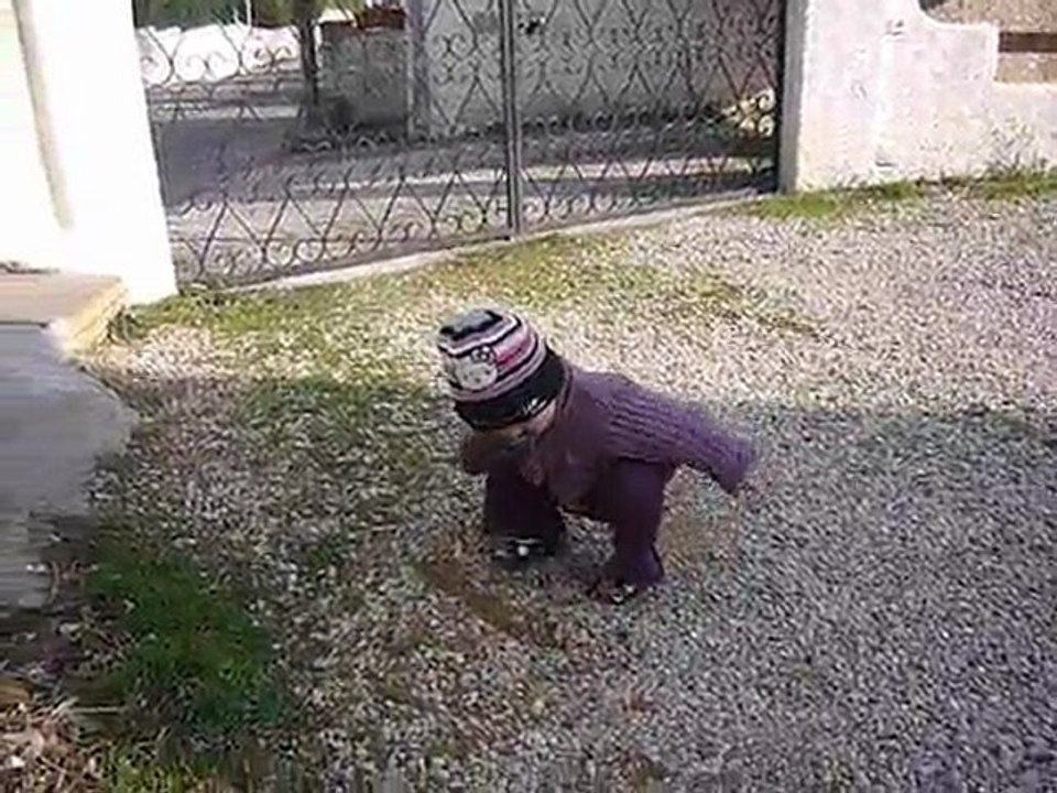 11 février 2010 le gravier