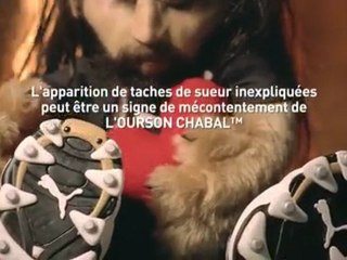 L'ourson Chabal !