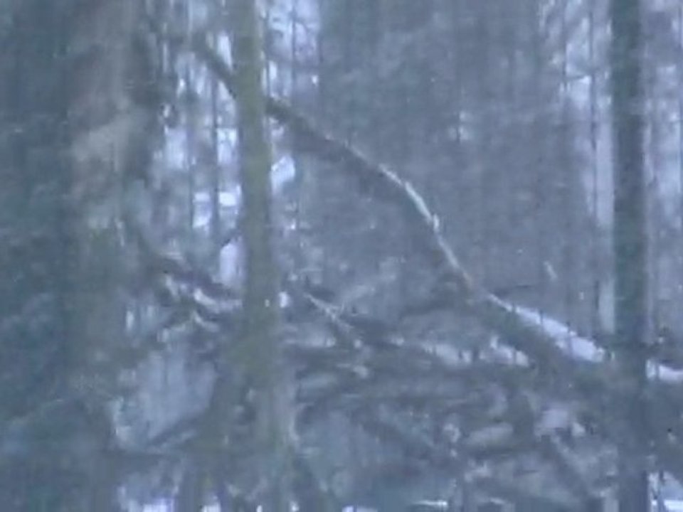 NEIGE EN NORMANDIE