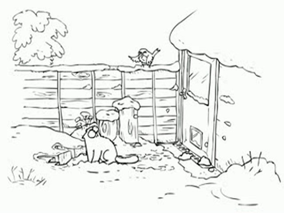 Un chat decouvre la neige