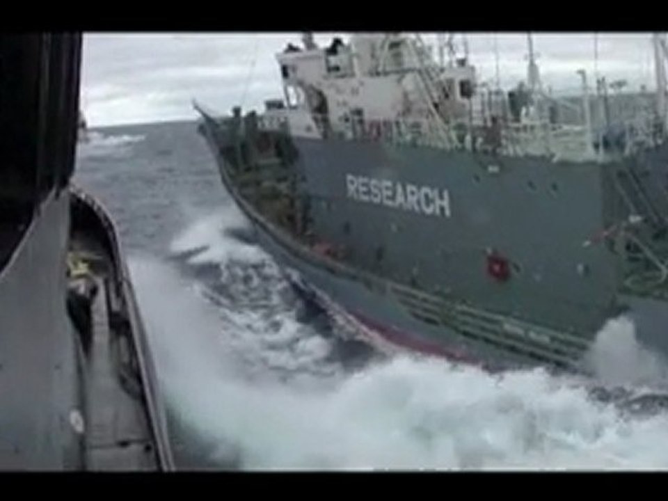 Le Bob Barker éperonné à son tour par un baleinier japonais