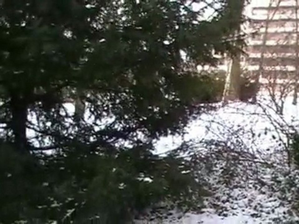 Balade avec Baloo :)