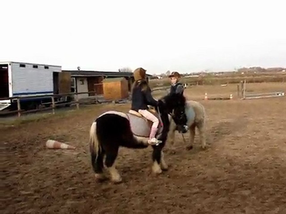 stars-horse85