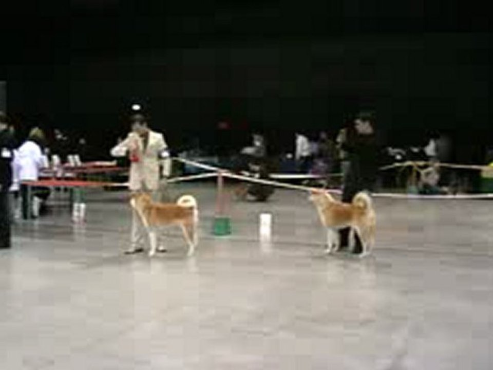 MOV01C