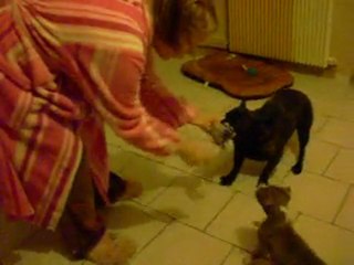 ERON MON BB avec HITCH MON BOULI