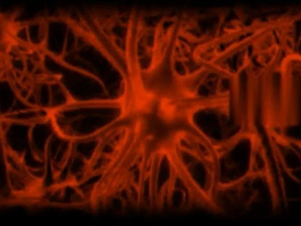 Virtuozo (Agence WEB) - Marketing, Création Internet & Référ