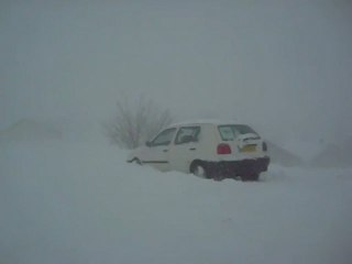 Burle sur le haut du village des Estables