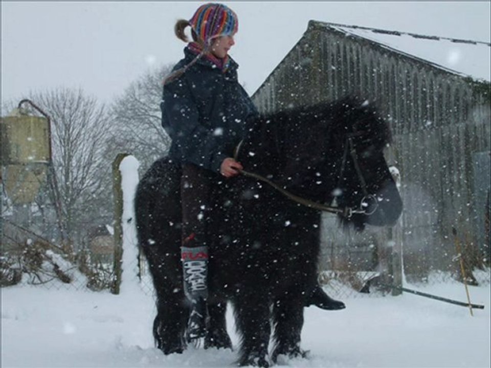 Neskuik dans la neige
