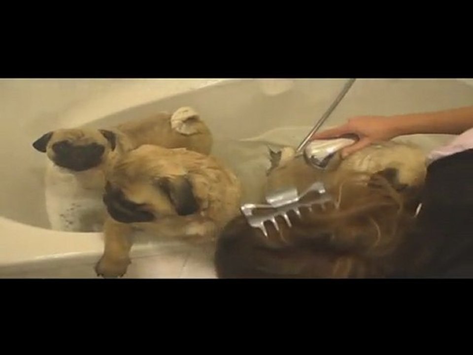 carlinous au bain