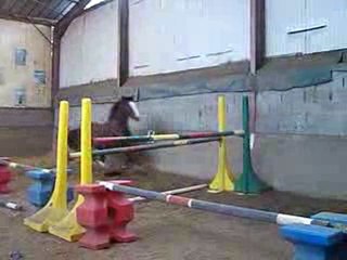 Ouzo saut en liberté