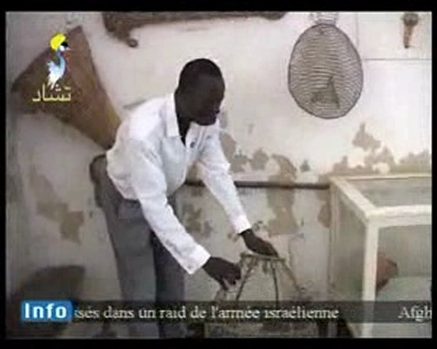 TCHAD  MUSEE DU TCHAD-02/10/2010 à 12:08 PAR   TCHADONLINE