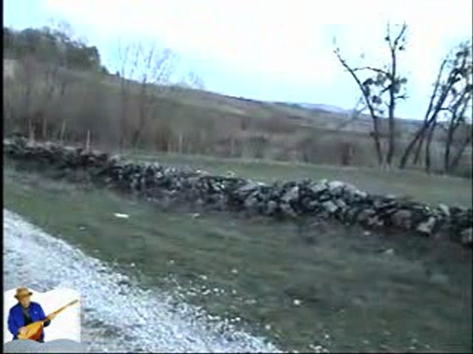 Ferfene