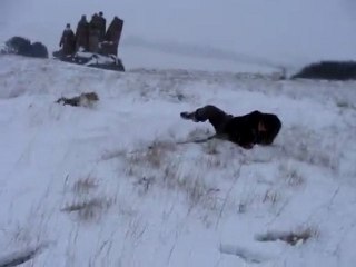 Bonne Petite Rigolade !!