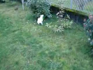 Eden joue au foot