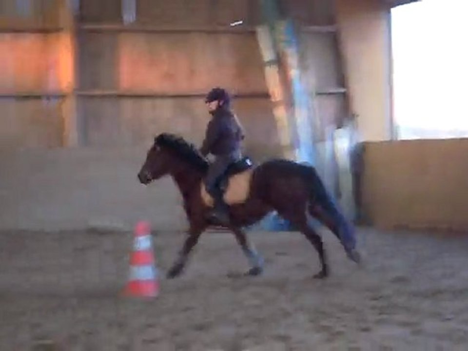 Simbad et moi au galop