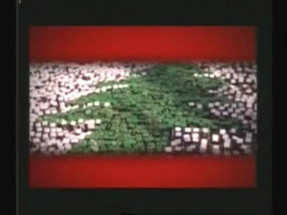 14 Fevrier 2010 - liban