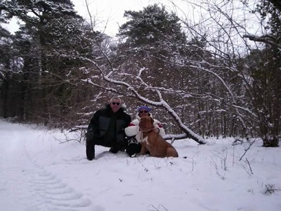 sortie dans la neige le 11-02-2010 au petit chalons