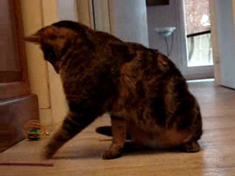 MINA ET LA PAILLE !!!!!!!!!!!!