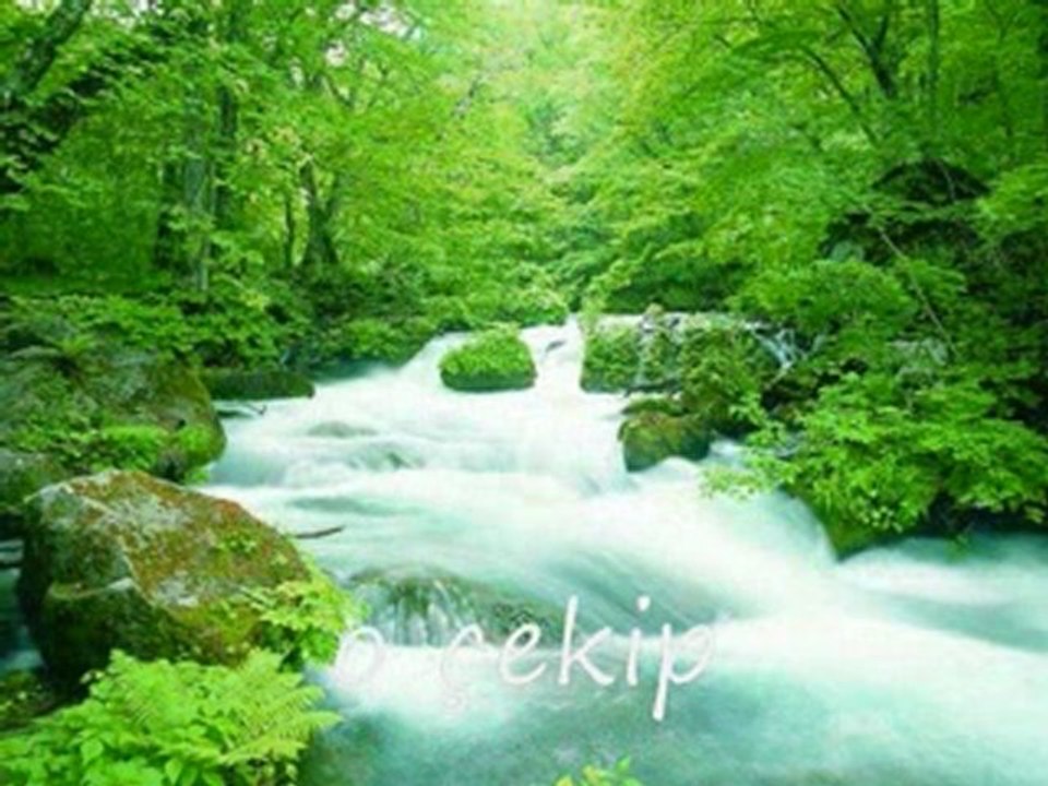 Şener  Aksu  " sessizliğin rengi"