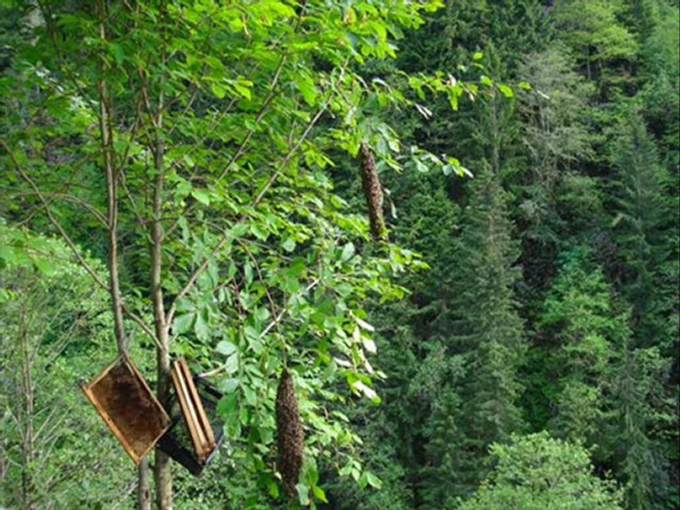 AYDER-BAYAR ŞAHİN-KAVRUN.TR.GG