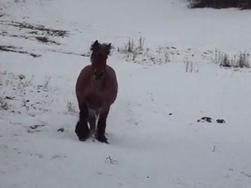Iroquoise dans la neige (2010)