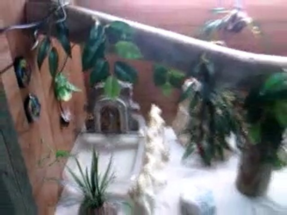 mon terra 2