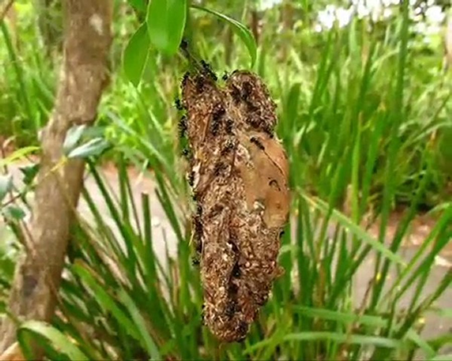 Roadstralie Trip part 3