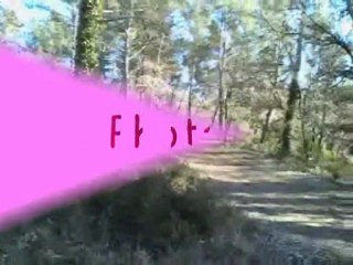 Galop sur la piste avec mon Dryade