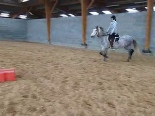 Vidéo DANUBIO 004 - 11/02/2010