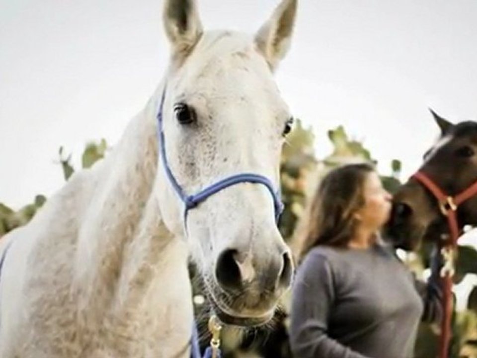 Orange County Pet Photography