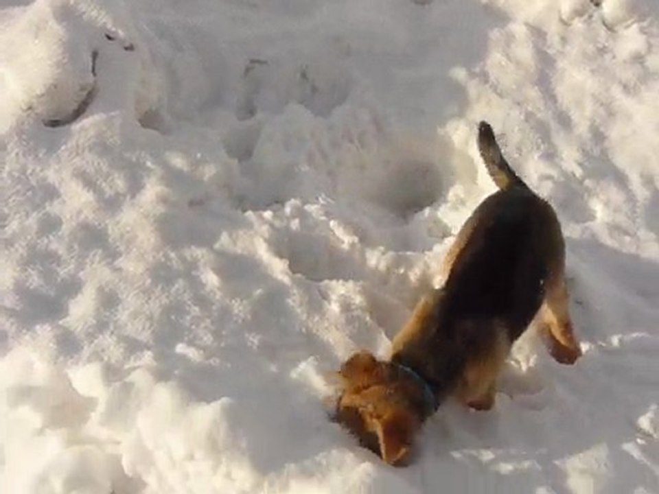 ricket neige