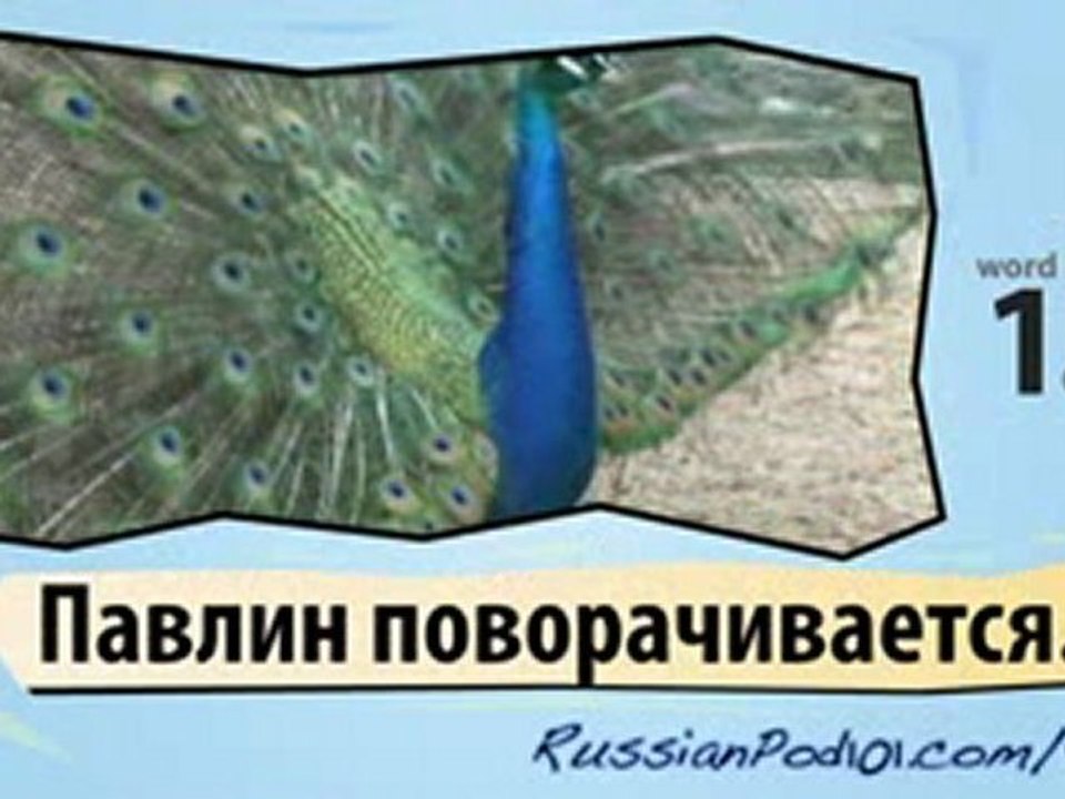 Learn Russian - Learn with Russian Bird Videos