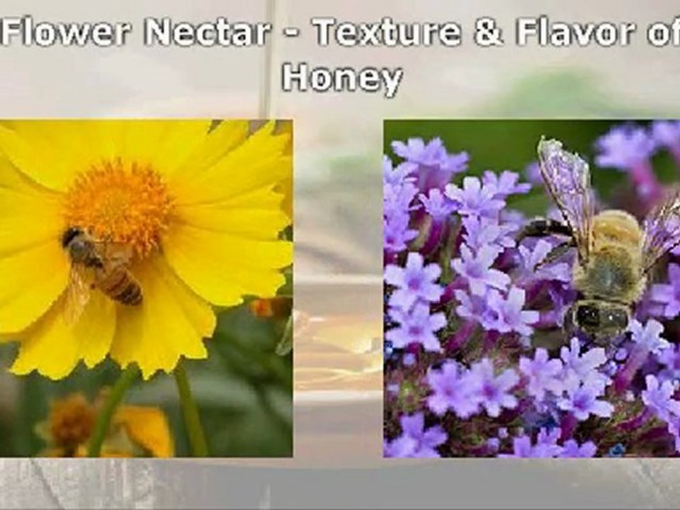 Natural Way of Using Organic Honey