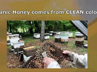 The Facts about True Organic Honey