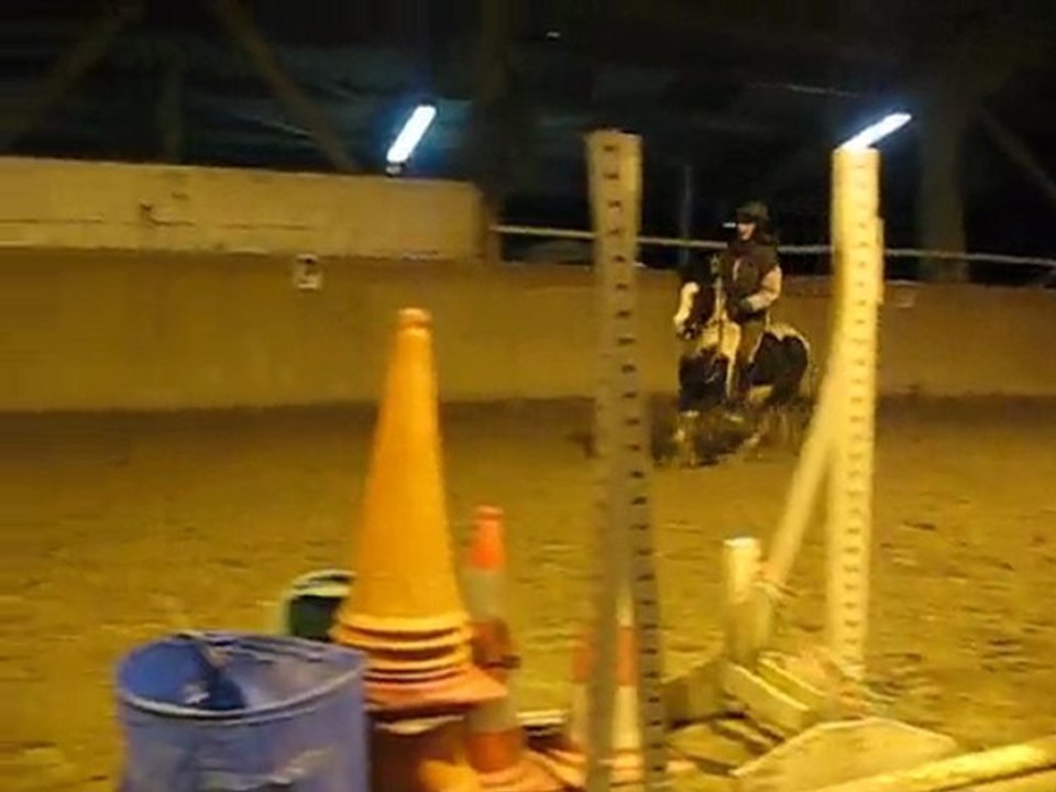 parcours de saut shetland