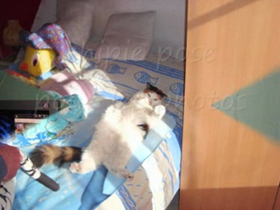 notre chipie bien aimee