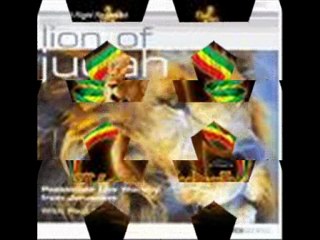 WE & DEM   (Let them grow)