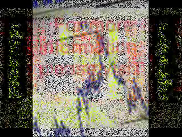 forex trading companies