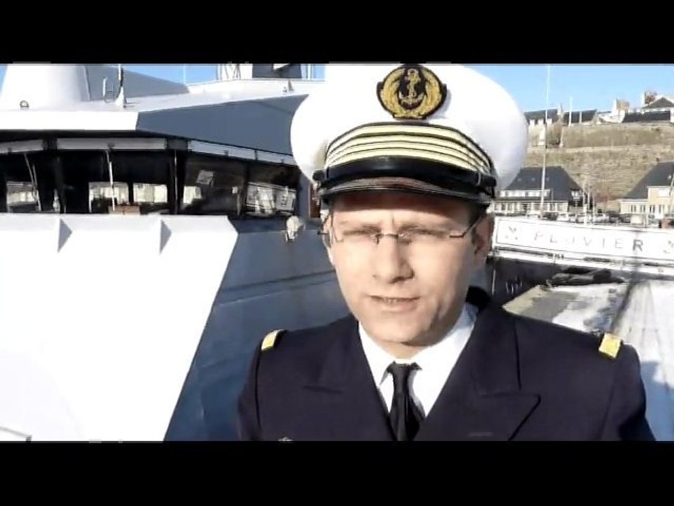 Le pluvier en escale à Granville