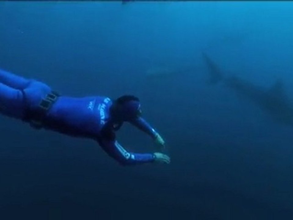 15 ans d'apnée, la passion de l'océan