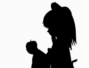 Tohou-Bad Apple!! (shadow art)