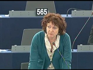 Hélène Flautre : Guantanamo