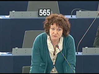 Hélène Flautre : Guantanamo