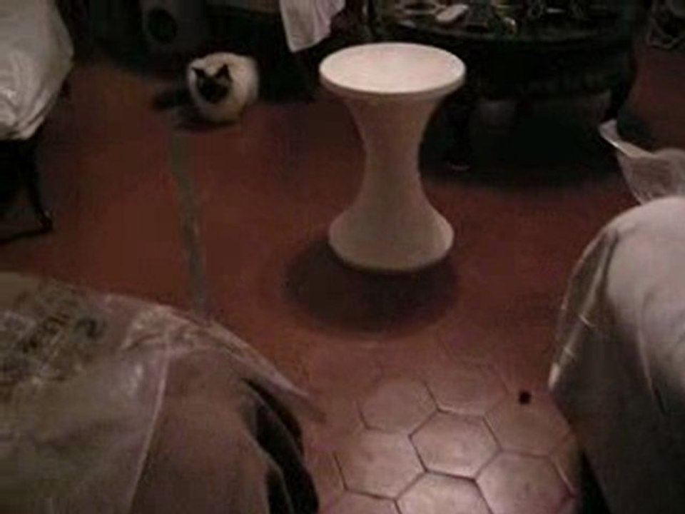 Aribo, Balkan & Coulis -maison-